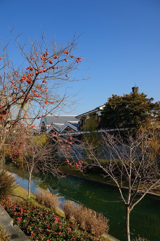町角寸景・伏見_f0032011_19332360.jpg