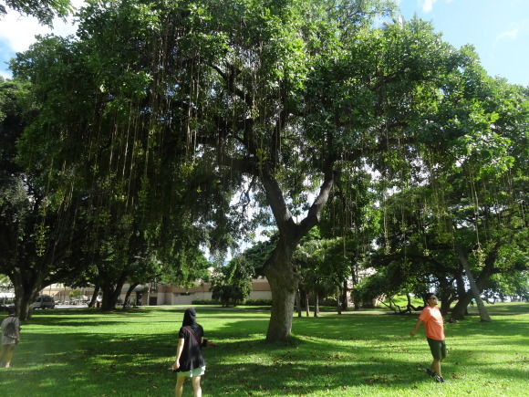 e0256814_17231551.jpg