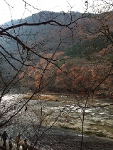 c0074219_2225119.jpg