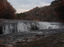 c0074219_22251927.jpg