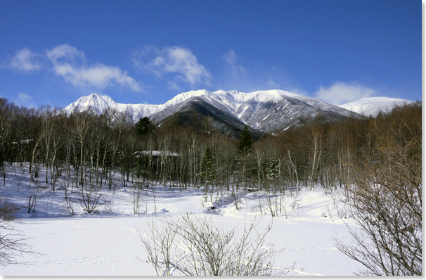 八ヶ岳のお正月-最終日_d0133320_22332961.jpg