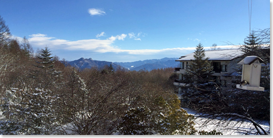八ヶ岳のお正月-最終日_d0133320_22334518.jpg