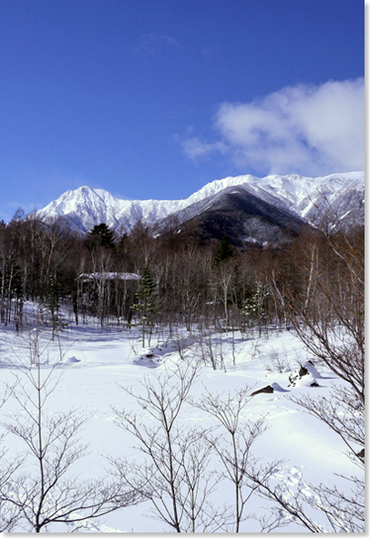 八ヶ岳のお正月-最終日_d0133320_234533100.jpg