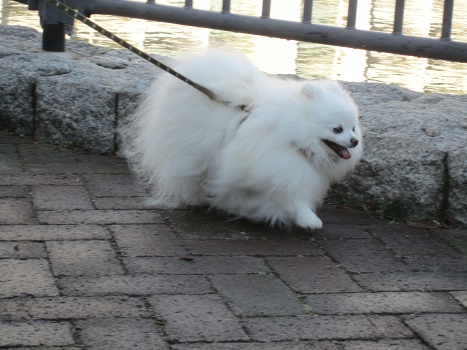 もう寒中!_b0177436_13492784.jpg
