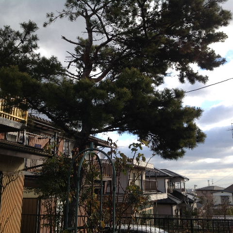 f0031037_1452463.jpg