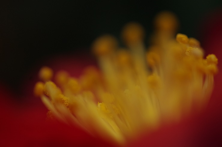 d0165741_17384721.jpg