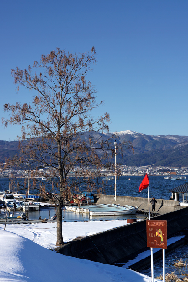 c0035245_22668.jpg