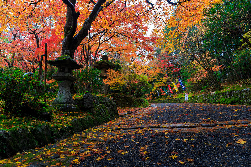 晩秋光景・赤山禅院／禅華院_f0155048_23544560.jpg