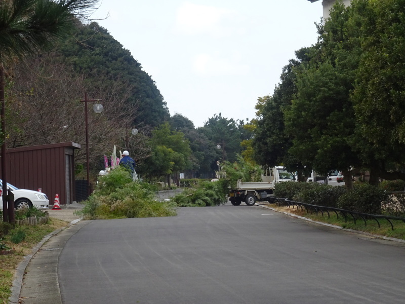 c0108460_20443753.jpg