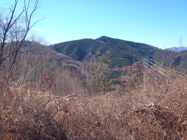 d0032262_95068.jpg