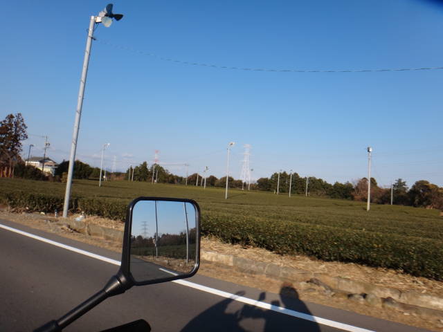 c0155364_853566.jpg
