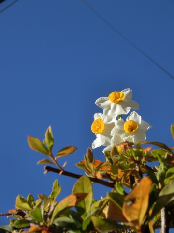 e0045768_22252646.jpg