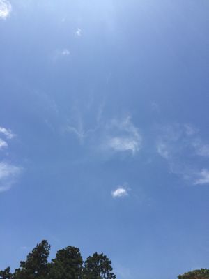 私の青空 歌詞 やまなかつてない日々 私の青空 歌詞 やまなかつてない日々