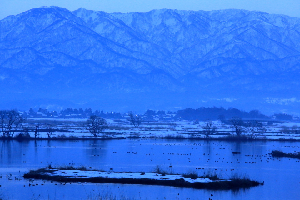 福島潟早朝風景_e0096372_15474940.jpg