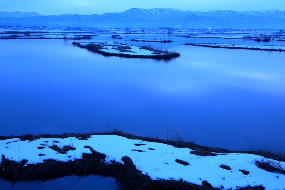 福島潟早朝風景_e0096372_15493623.jpg