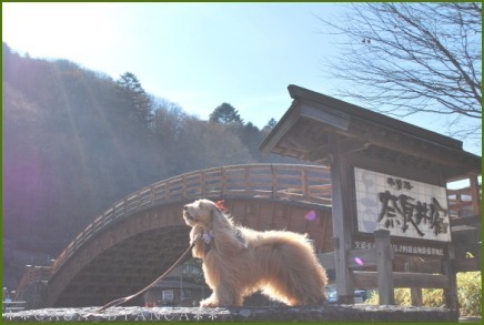 リベンジ！おいしい長野の旅(*´ω｀)_f0272880_21045914.jpg