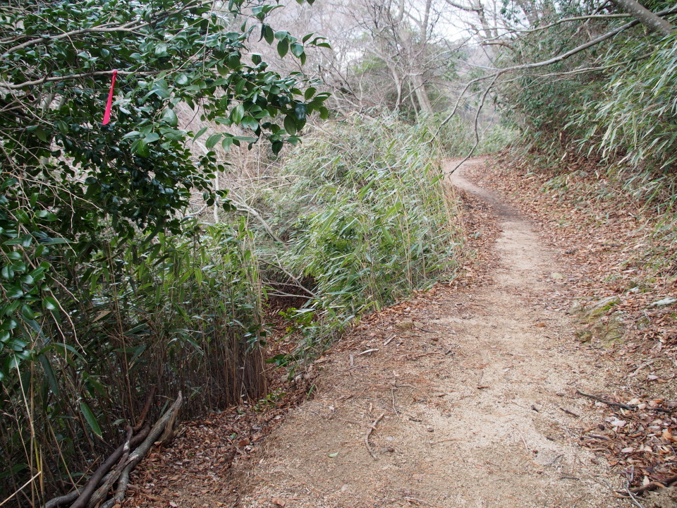 c0134193_17495441.jpg