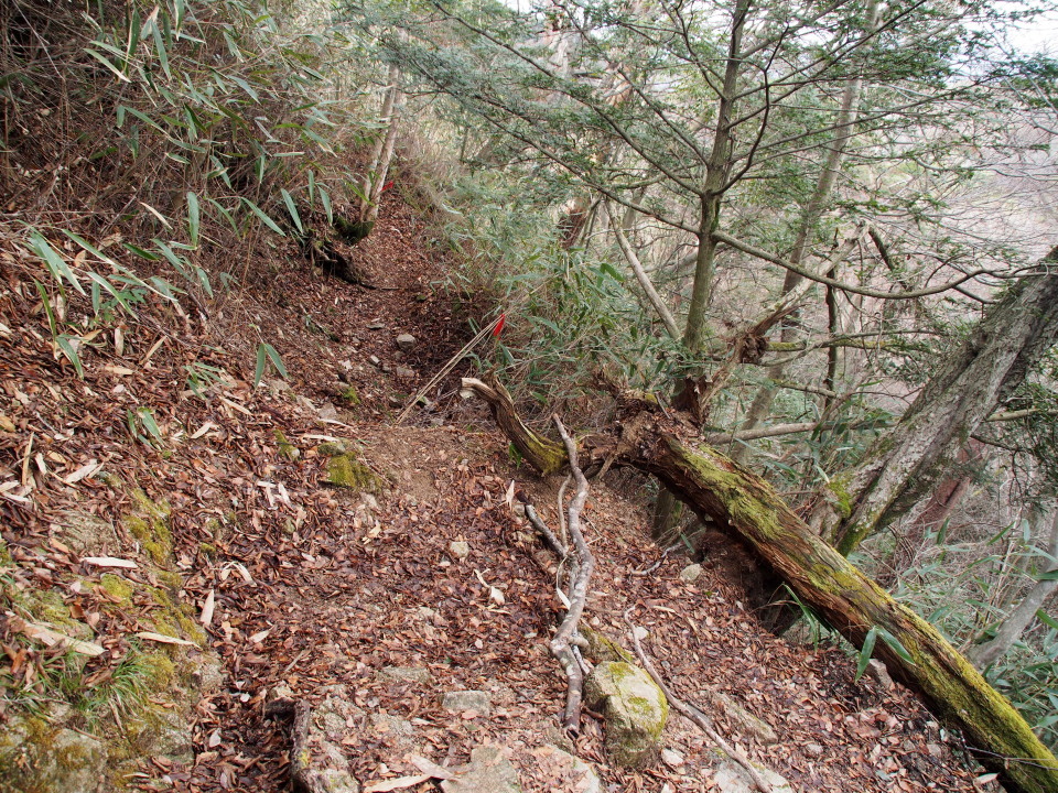 c0134193_17512854.jpg