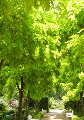 c0117898_2073135.jpg