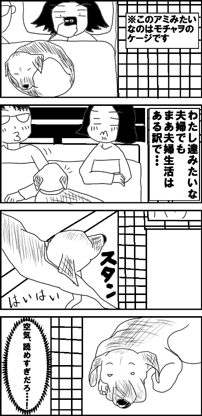 b0332699_07471071.png