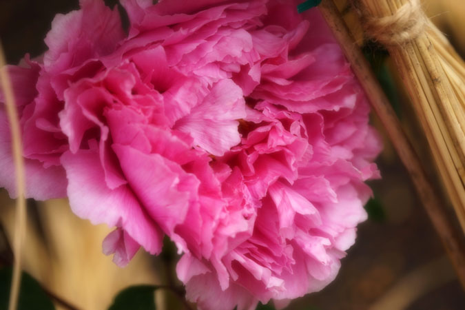 a0263109_16122939.jpg