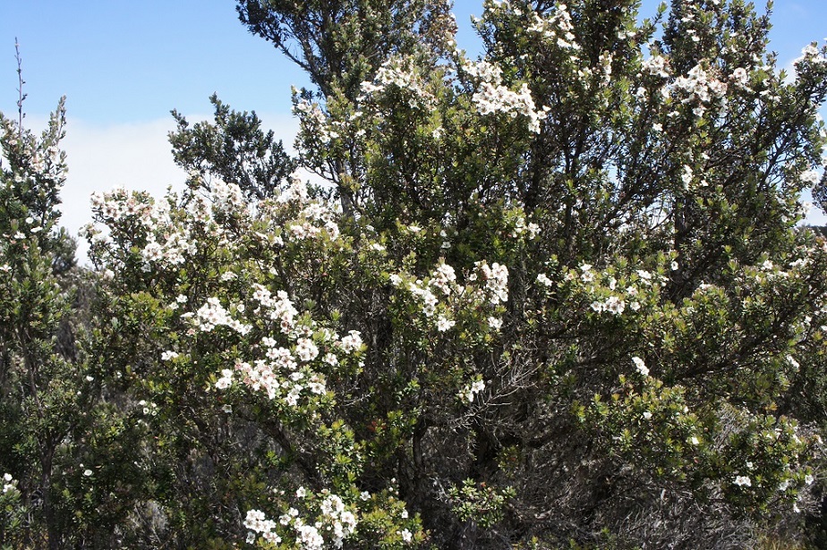 b0112909_1743462.jpg