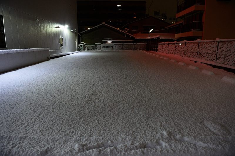 町角寸景・大雪の夜 其の一_f0032011_19335633.jpg