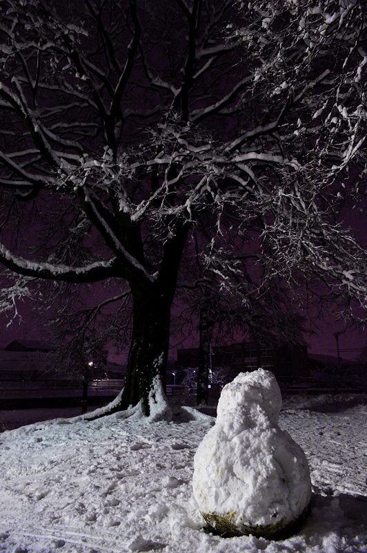 町角寸景・大雪の夜 其の一_f0032011_19351237.jpg