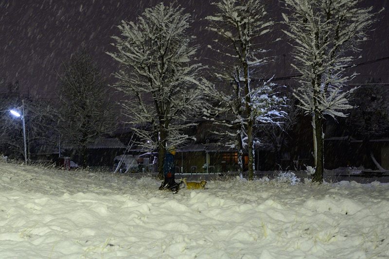 町角寸景・大雪の夜 其の一_f0032011_19354058.jpg