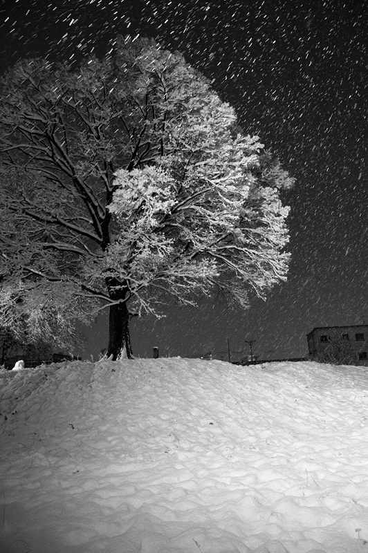 町角寸景・大雪の夜 其の一_f0032011_19354910.jpg