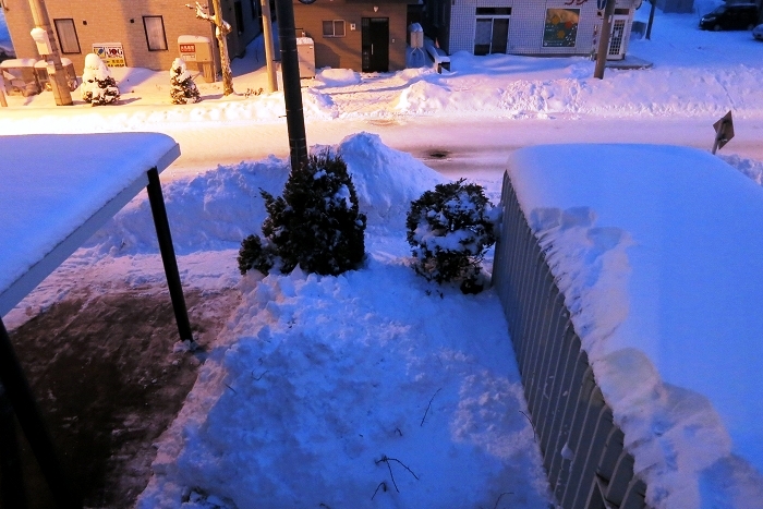 f0037518_17251752.jpg