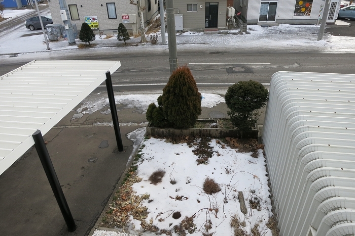 f0037518_176227.jpg