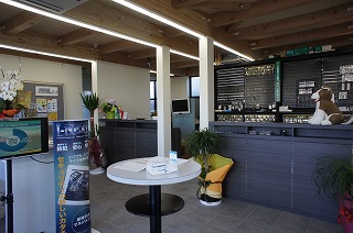 f0190020_7575554.jpg