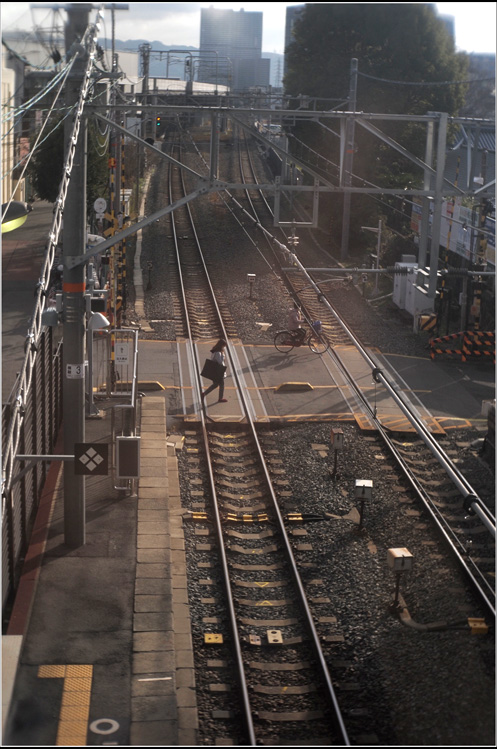 b0226423_11454527.jpg