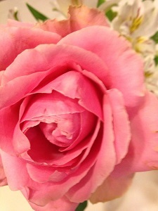 c0190527_04134960.jpg