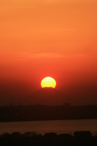 a0325628_15424382.jpg