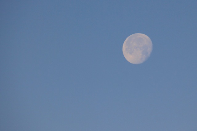 f0348831_20392253.jpg
