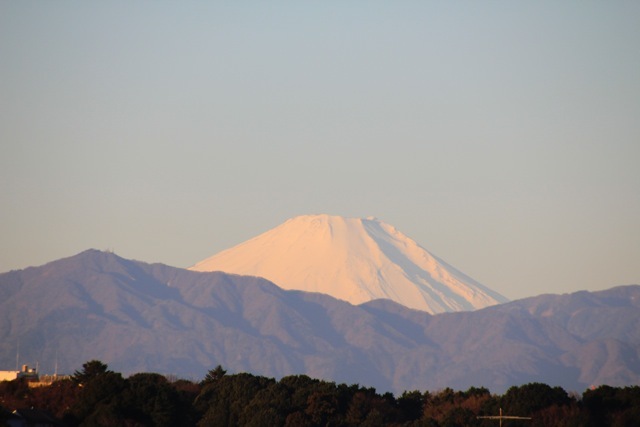 f0348831_20392677.jpg
