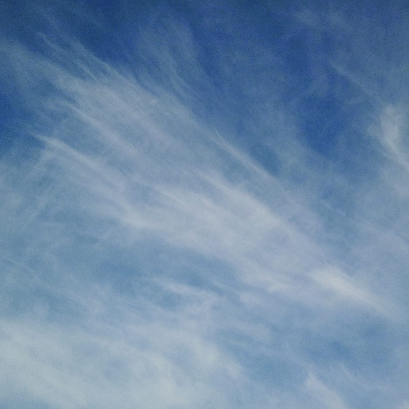 c0195134_10183758.jpg