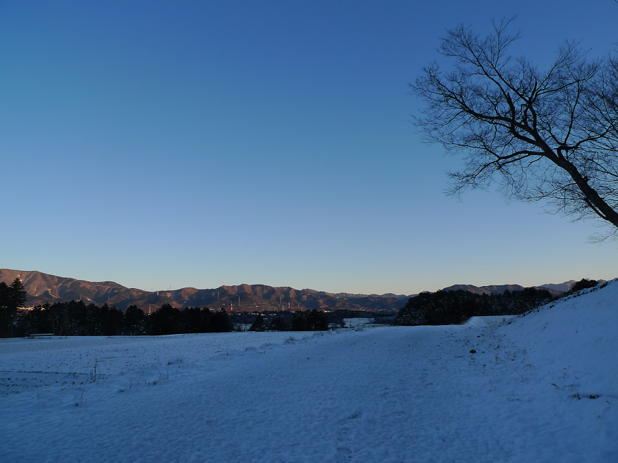 b0109942_2028851.jpg