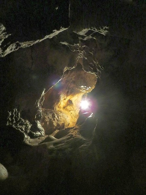 c0264542_5463363.jpg