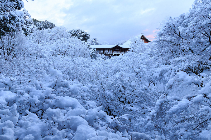 東福寺・雪景色／序章（臥雲橋より）_f0155048_22435689.jpg