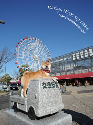 刈谷ハイウェイオアシス De撮影会 Yamatoのひとりごと 刈谷ハイウェイオアシス De撮影会 Yamatoのひとりごと