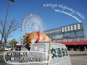刈谷ハイウェイオアシス De撮影会 Yamatoのひとりごと 刈谷ハイウェイオアシス De撮影会 Yamatoのひとりごと
