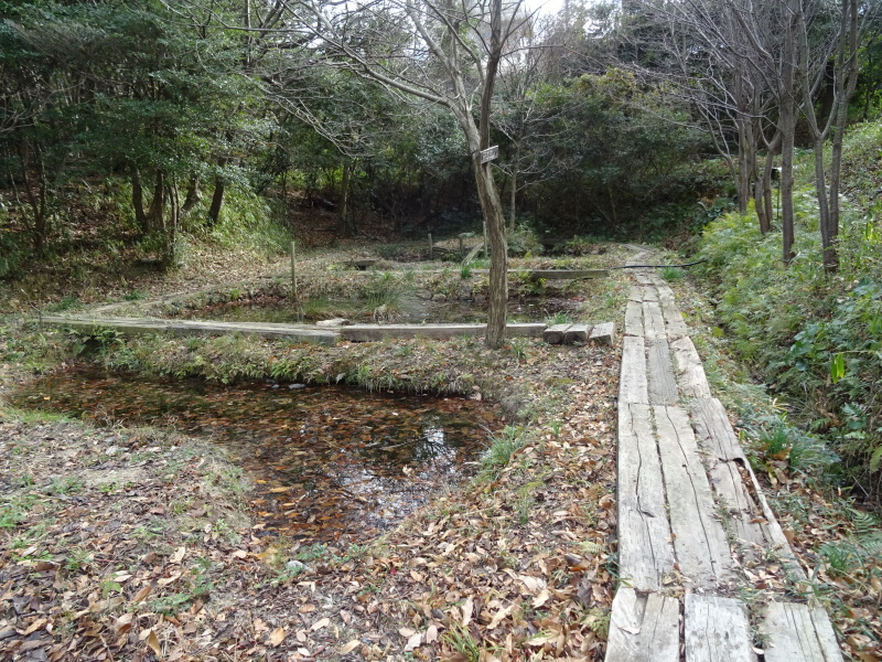 「とんど」残務作業　　in　　せんなん里海公園　　　　　by　　　  (TATE-misaki)_c0108460_17281189.jpg