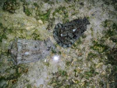 c0180460_23395210.jpg