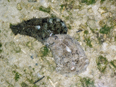 c0180460_23423398.jpg
