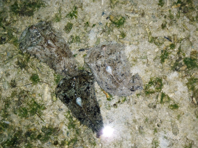 c0180460_23433163.jpg