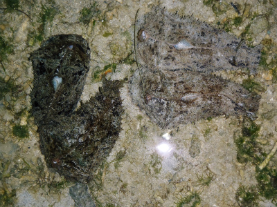 c0180460_23445179.jpg