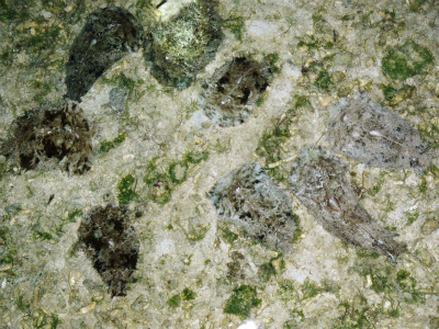 c0180460_2346040.jpg